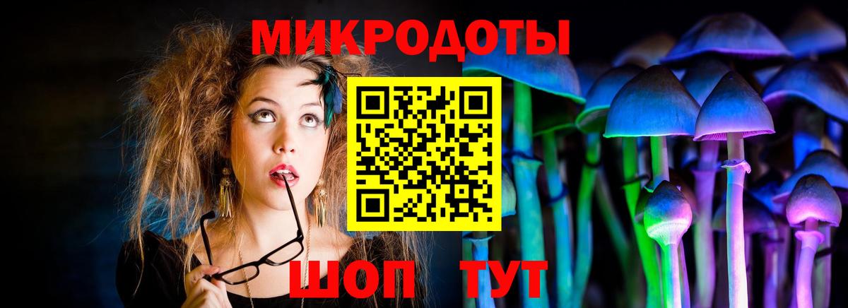 Псилоцибиновые грибы Psilocybe Топки